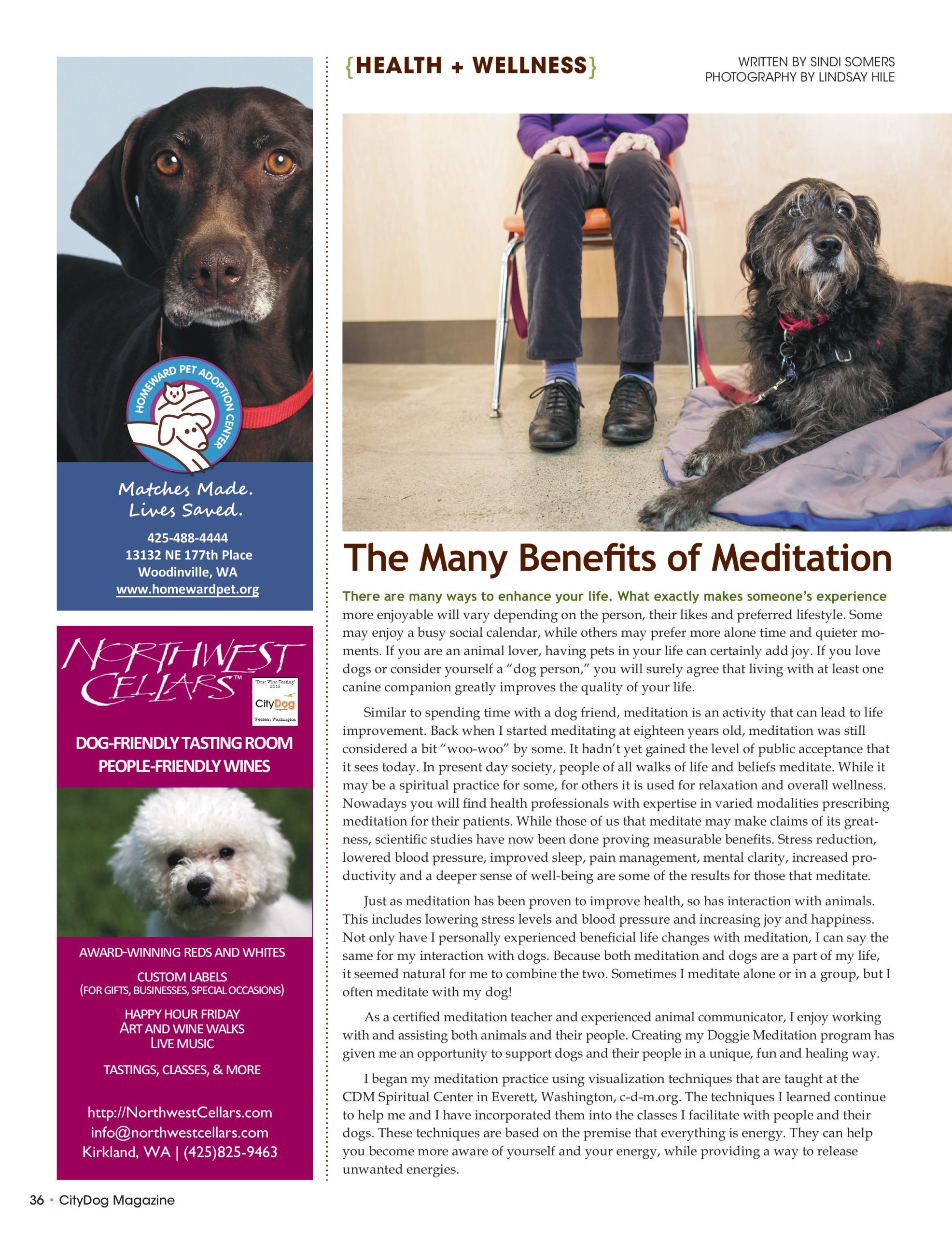 Photo of person sitting and meditating next to cute black dog lying down on dog bed with page 1 of article on meditation in CityDog Magazine.